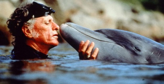 Człowiek musi się nauczyć, co to znaczy być przyjacielem delfinów /materiały dystrybutora