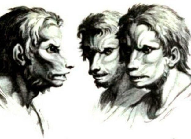 Człowiek przemieniający się w wilka. Rysunek z XVIII-wiecz. traktatu o fizjonomii Charlesa Lebruna /MWMedia