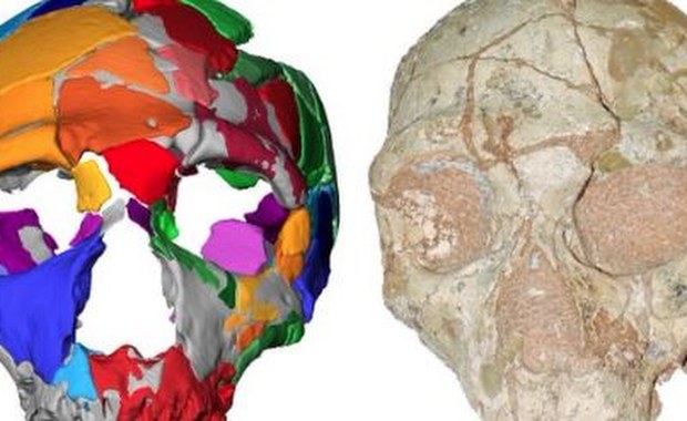 Człowiek wyszedł z Afryki dużo wcześniej, niż myśleliśmy