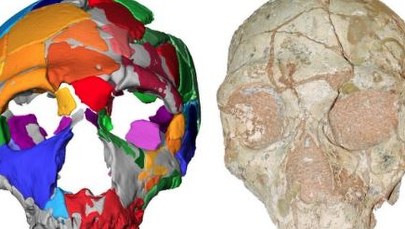 Człowiek wyszedł z Afryki dużo wcześniej, niż myśleliśmy