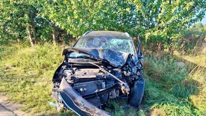 Czołowe zderzenie busa z autem osobowym. Ranne 9-letnie dziecko 