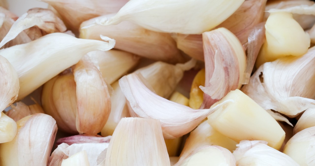Czosnek od wieków uznawany jest za naturalny lek i nie bez powodu nazywa się go „antybiotykiem z kuchni”. /123RF/PICSEL