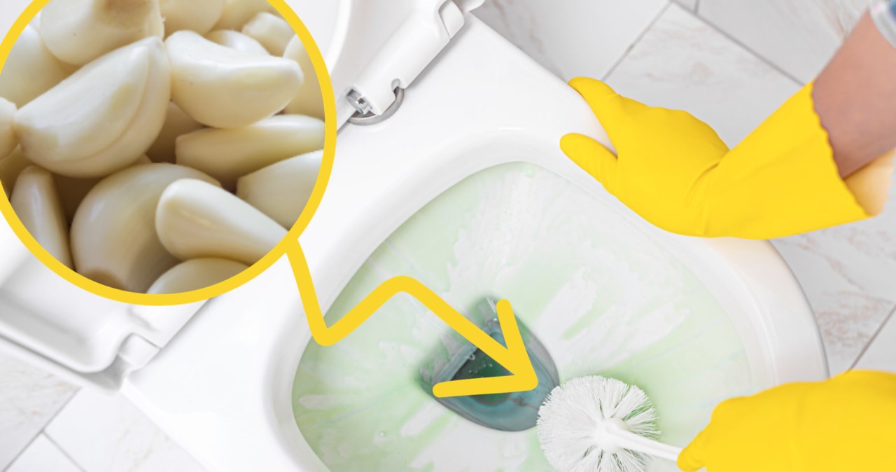 czosnek pozytywnie wpływa na zapach brudnej toalety. To jednak dopiero początek korzyści /Pixel