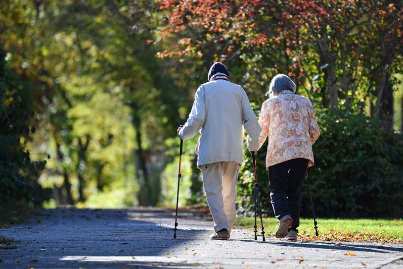 Czternasta emerytura. Złe wieści dla seniorów, dostanie mniej osób /Frank Hoermann/SVEN SIMON / dpa Picture-Alliance /AFP
