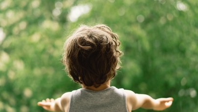 Czterolatek wypadł z balkonu na trzecim piętrze