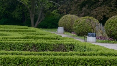 Czterolatek zgubił mamę w warszawskim parku. Był zapłakany