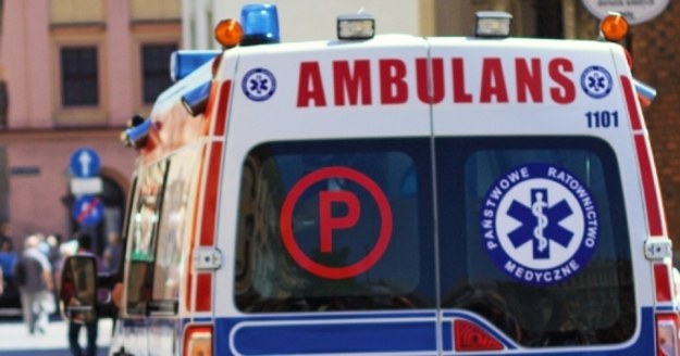 Czterolatka zmarła na miejscu przygnieciona konarem /Maciej Nycz /RMF FM