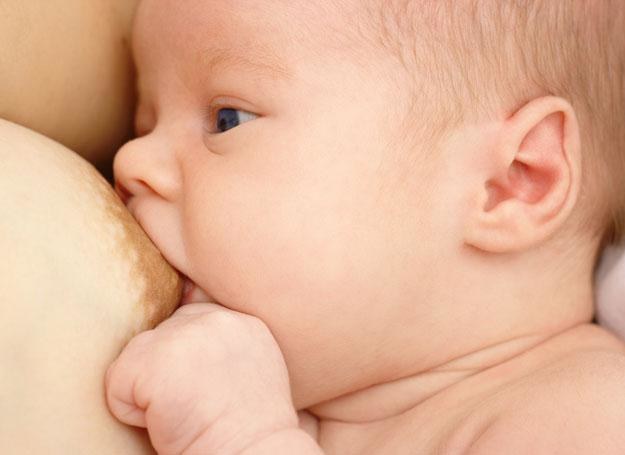 Czteromiesięczny okres karmienia piersią jest najbardziej optymalny dla zdrowia niemowląt /&copy; Panthermedia