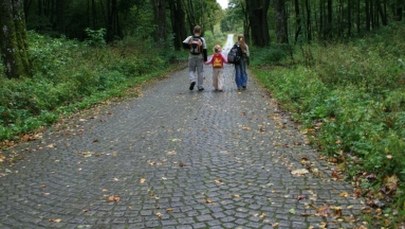 Czteroosobowa rodzina zatruła się muchomorem. Byli na wczasach nad morzem