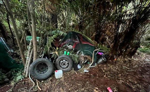 Cztery lata w dziczy. Policja ujawnia kulisy życia porwanych dzieci