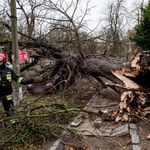 Cztery osoby ranne, ponad 300 interwencji strażaków. W całej Polsce mocno wieje