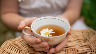 Cztery z sześciu herbatek zawierały pestycydy. Rumianek pod lupą