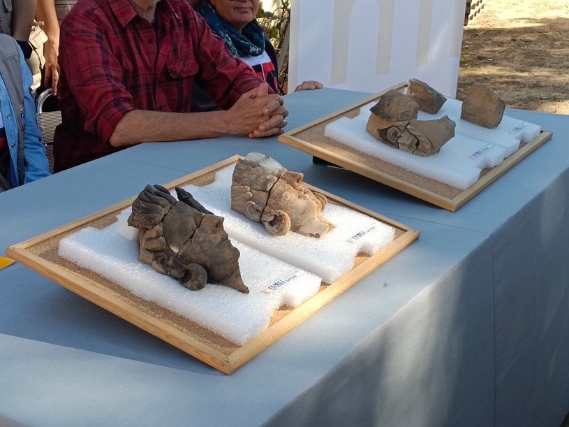 Four petroglyphs were found presented during the archaeologists press conference / @JuliaNoriega13 / Twitter