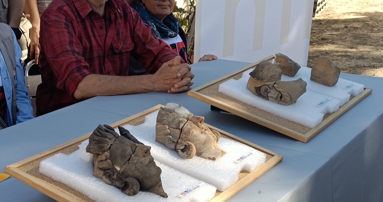 Cztery znalezione płaskorzeźby zaprezentowane podczas konferencji prasowej archeologów /@JuliaNoriega13 /Twitter