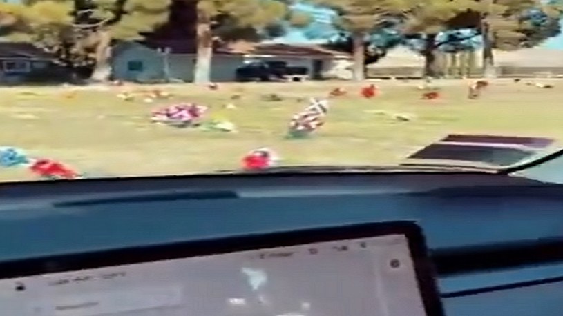 Czujniki w autonomicznych Teslach potrafią wykryć duchy na cmentarzach? [FILM] /Geekweek