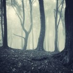 tajemnicze miejsca "Czuli się śledzeni". Zagadka zaginionych ludzi do dziś pozostaje nierozwiązana