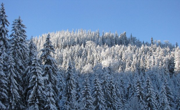 Czwarty stopień zagrożenia lawinowego w Tatrach