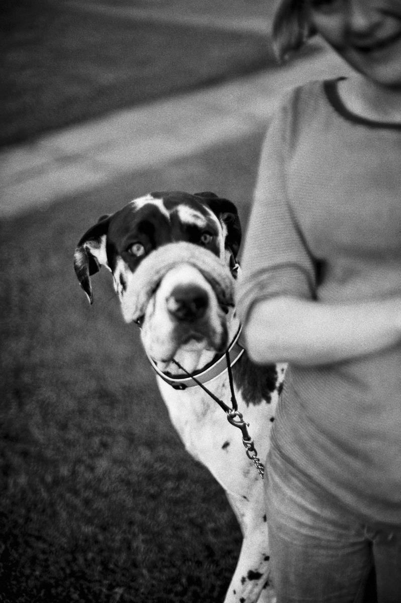 Czworonożny model /Bogdan Frymorgen /RMF FM