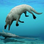 Czworonożny wieloryb z Egiptu. Naukowcy odkryli praprzodka waleni