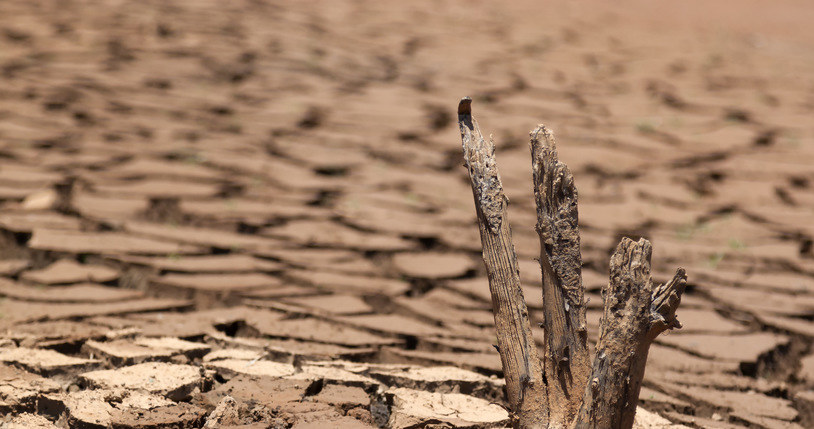 Czy 2021 r. bedzie rokiem suszy? /123RF/PICSEL