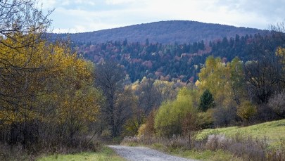 Czy Akcja "Wisła" była koniecznością? 