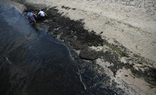 Czy alert RCB powinien informować o sinicach? Aktywiści twierdzą, że tak
