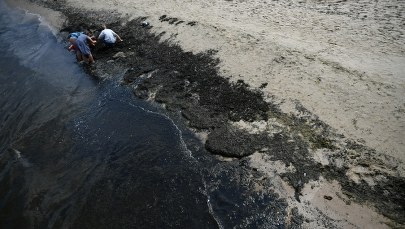 Czy alert RCB powinien informować o sinicach? Aktywiści twierdzą, że tak