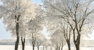 Czy będzie śnieg na Boże Narodzenie i sylwestra 2025? Sprawdź prognozę