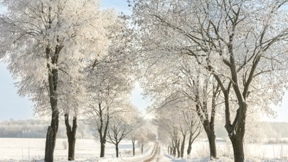 Czy będzie śnieg na Boże Narodzenie i sylwestra 2025? Sprawdź prognozę