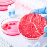 Czy będziemy hodować mięso z nieśmiertelnych komórek macierzystych?
