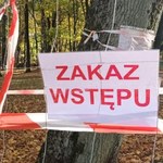 Czy Bolesław podzieli los Trzebini? Patowa sytuacja związana z zapadliskami 