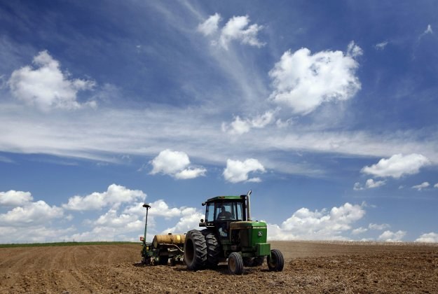 Czy ceny produktów rolnych w tym roku będą wysokie? /AFP