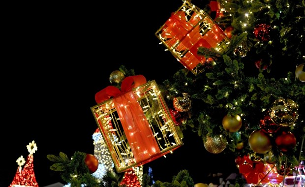 Czy czekają nas białe święta? "Prognozy wyglądają obiecująco"