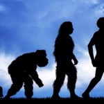 ewolucja Czy człowiek nadal ewoluuje? Według ekspertki dobór naturalny już nie działa