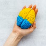 Czy długość palców wpływa na wielkość mózgu? Nowe ustalenia naukowców