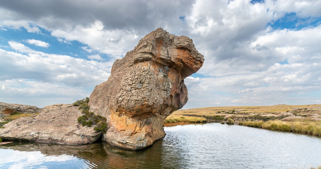 Czy dostrzegasz w zdjęciu tej skały kształt zwierzęcia z puszystym ogonem? /123RF/PICSEL
