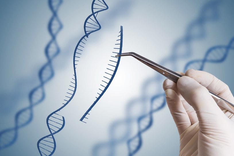 Czy dzięki CRISPR uda się pokonać raka? /123RF/PICSEL