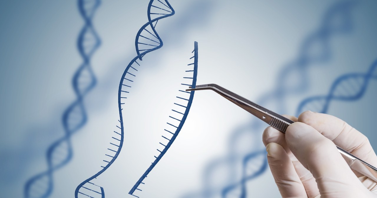 Czy dzięki CRISPR uda się pokonać raka? /123RF/PICSEL