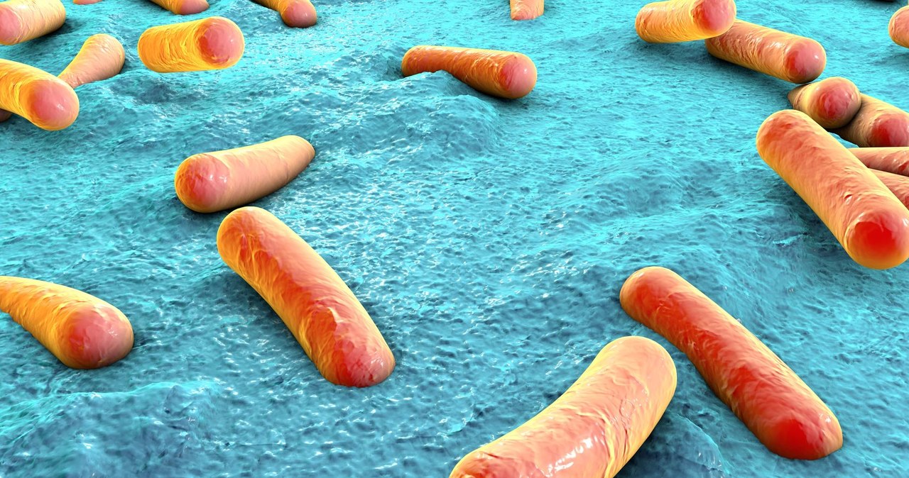 Czy dzięki starożytnym bakteriom uda się stworzyć lepsze antybiotyki? /123RF/PICSEL