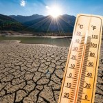 Czy ewolucja nadąży za zmianą klimatu? Nowe badanie daje nadzieję