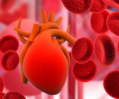 Czy grupa krwi wpływa na rozwój chorób serca?