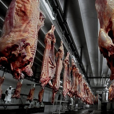 Czy inwestowanie w mięso jest atrakcyjne dla przeciętnego inwestora? /AFP