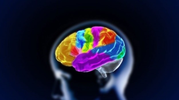 Czy kiedyś będzie możliwe sterowanie umysłem innego ciała? Pierwszy krok już zrobiono /123RF/PICSEL