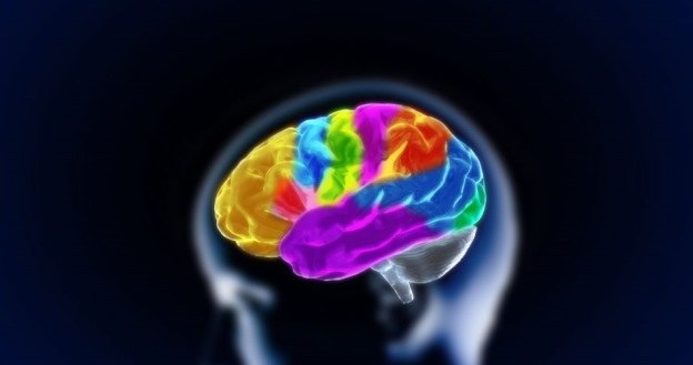 Czy kiedyś będzie możliwe sterowanie umysłem innego ciała? Pierwszy krok już zrobiono /123RF/PICSEL