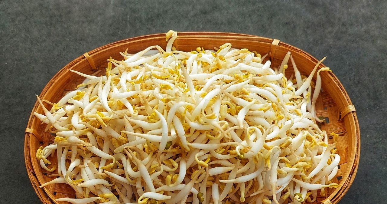 Czy kiełki fasoli mung są zdrowe? Kto powinien je spożywać? /santiasih /Canva Pro