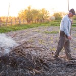 Czy można palić gałęzie na działce? Mandat za wiosenne porządki