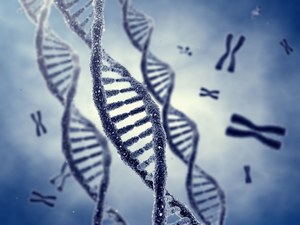 Czy można patentować ludzkie geny?