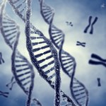 Czy można patentować ludzkie geny?