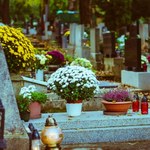 Czy można stracić prawo do grobu? Przepisy nie pozostawiają wątpliwości