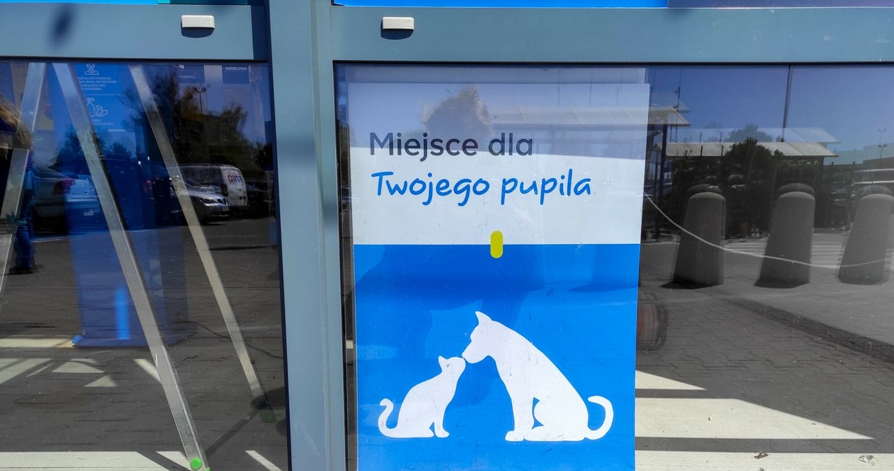 Czy można wejść z psem do sklepu? /Piotr Kamionka /Reporter